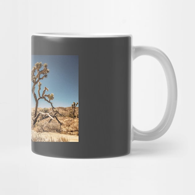 Joshua Tree National Park, California by Gestalt Imagery